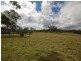1001 Wherrol Flat Road, Wherrol Flat NSW 2429