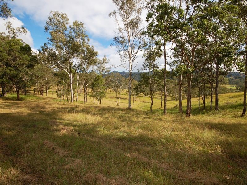 1001 Wherrol Flat Road, Wherrol Flat NSW 2429