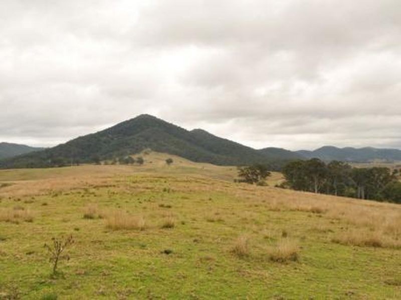 Number One NSW 2424