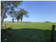 Wingham NSW 2429