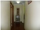 Wingham NSW 2429