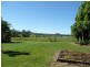 Wingham NSW 2429