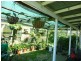 Wingham NSW 2429
