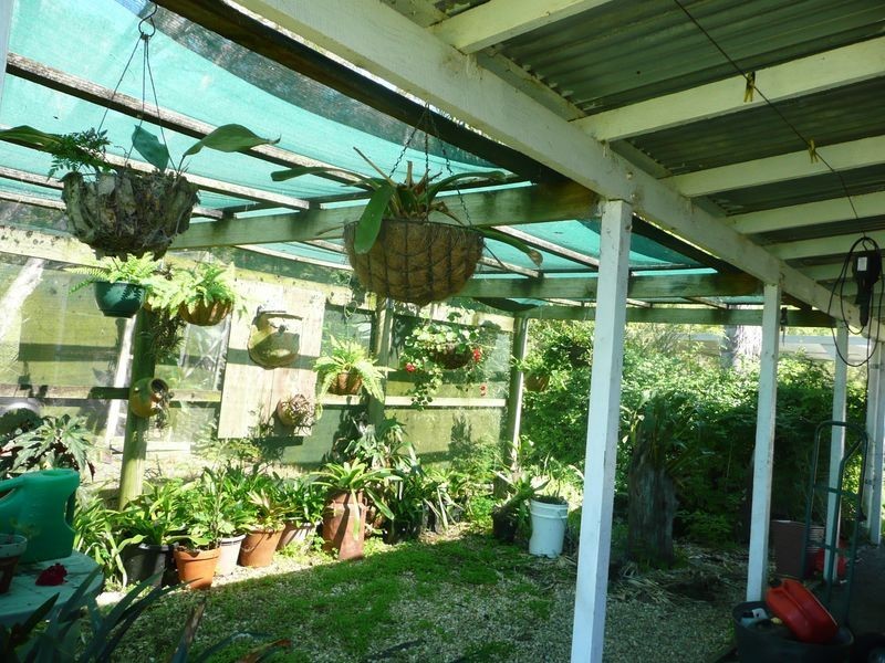 Wingham NSW 2429