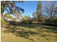 Wingham NSW 2429