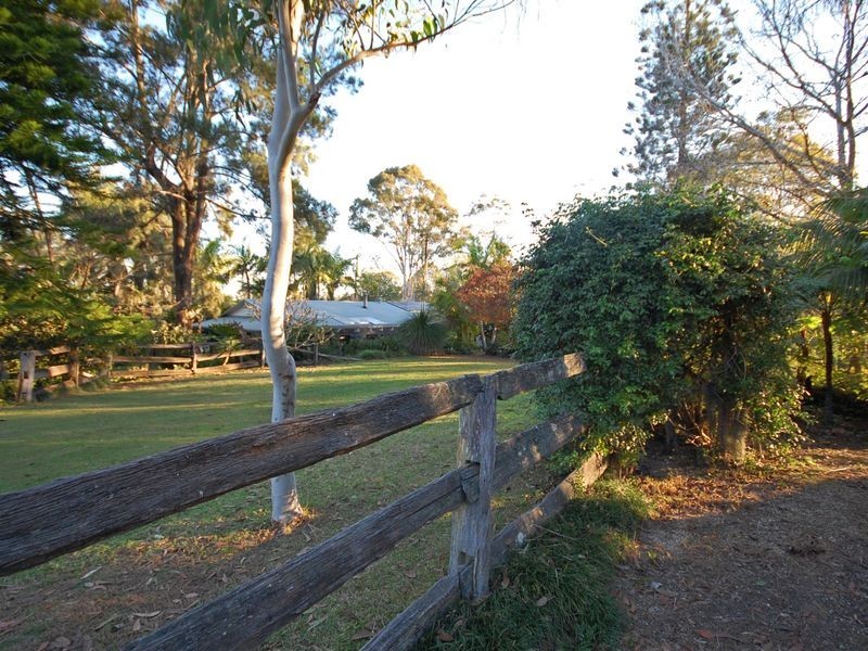 Wingham NSW 2429