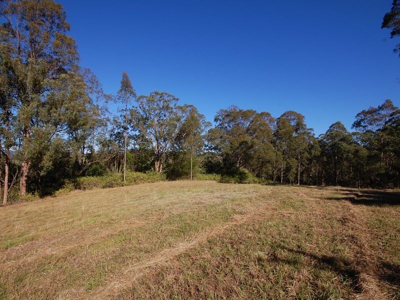 Wingham NSW 2429