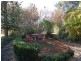 Wingham NSW 2429