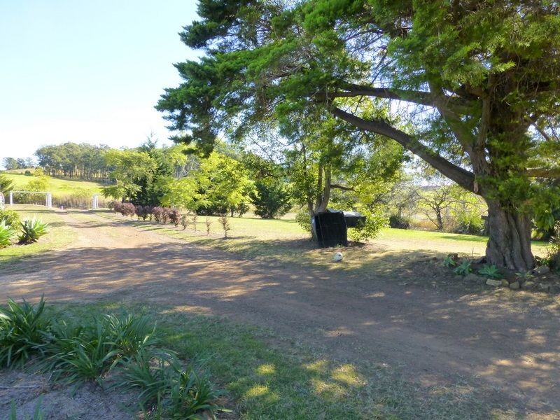 713 Tinonee Road, Mondrook NSW 2430