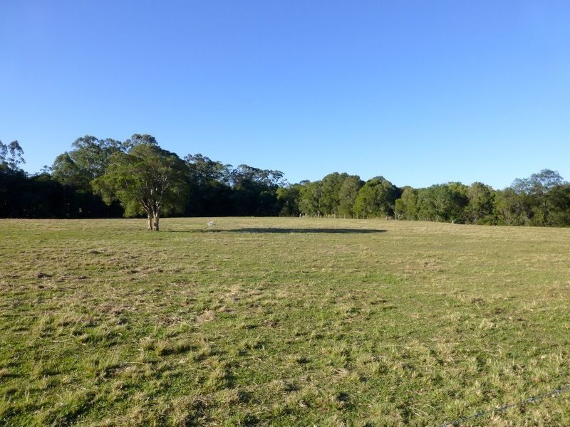 Bunyah NSW 2429