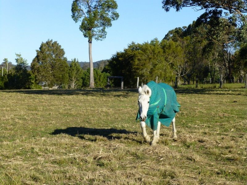Bunyah NSW 2429