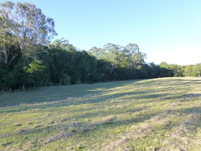 Bunyah NSW 2429