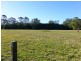 Bunyah NSW 2429