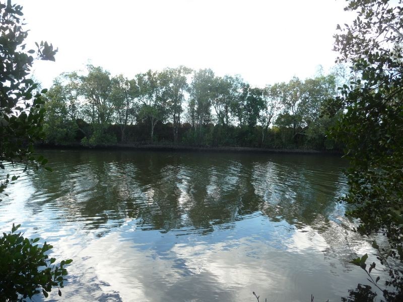 Jones Island NSW 2430