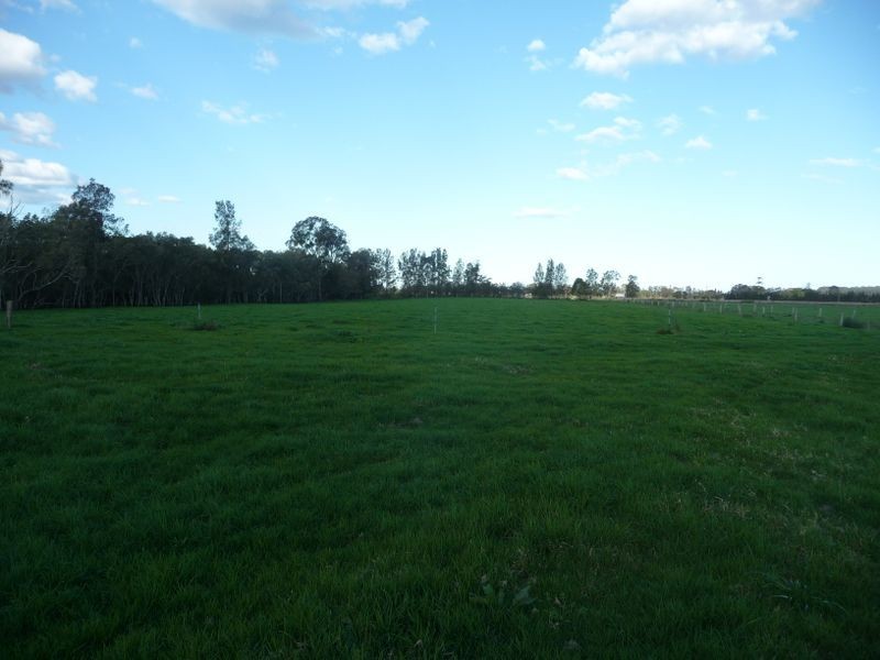 Jones Island NSW 2430