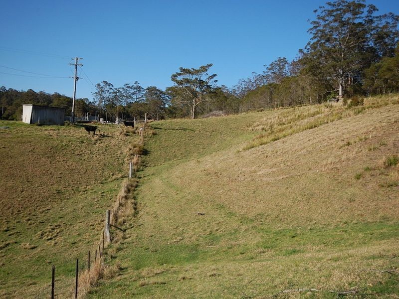 Elands NSW 2429