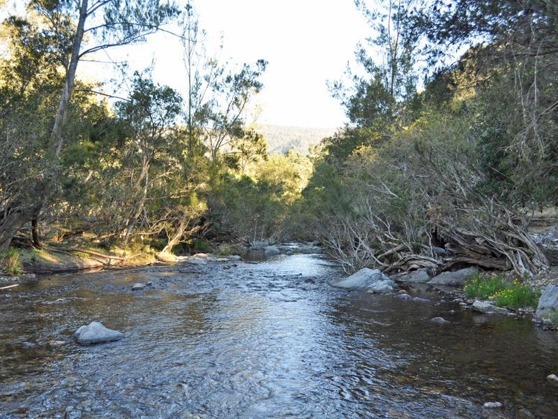 1579 Cells River Road, Cooplacurripa NSW 2424