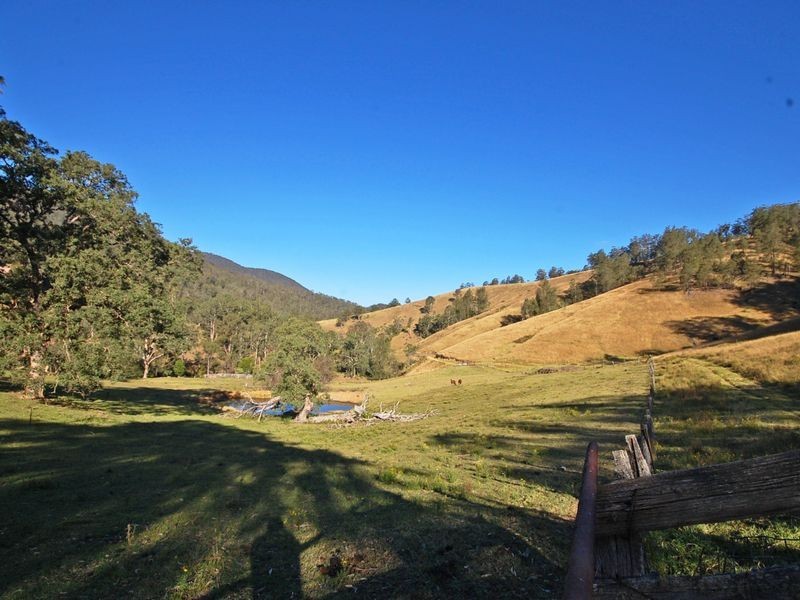 1579 Cells River Road, Cooplacurripa NSW 2424