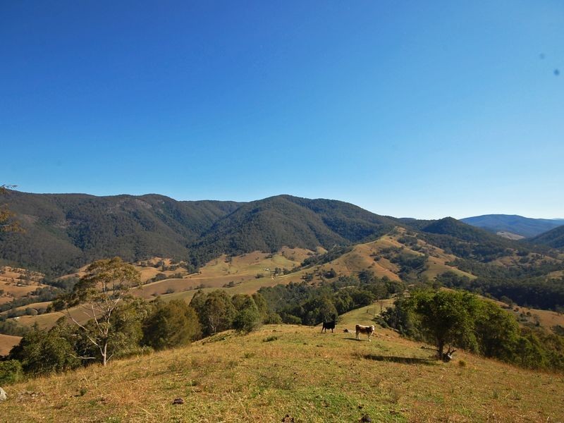 1579 Cells River Road, Cooplacurripa NSW 2424