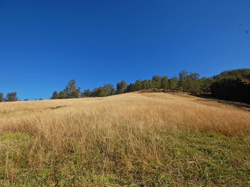 1579 Cells River Road, Cooplacurripa NSW 2424