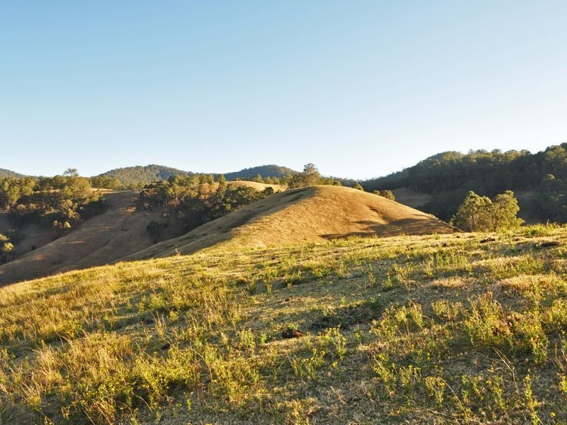 1579 Cells River Road, Cooplacurripa NSW 2424