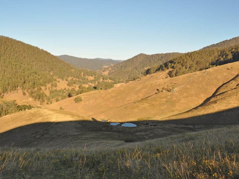 1579 Cells River Road, Cooplacurripa NSW 2424