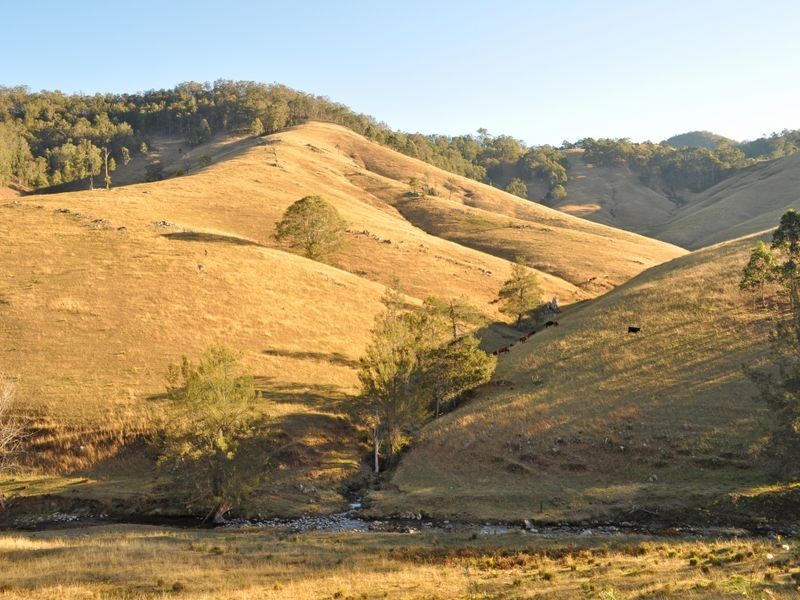 1579 Cells River Road, Cooplacurripa NSW 2424