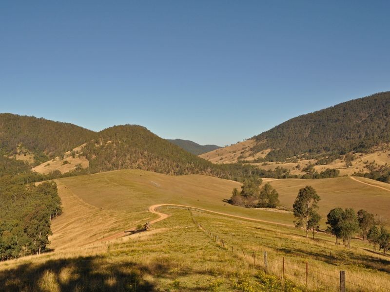 1579 Cells River Road, Cooplacurripa NSW 2424