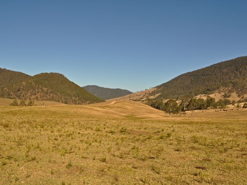 1579 Cells River Road, Cooplacurripa NSW 2424