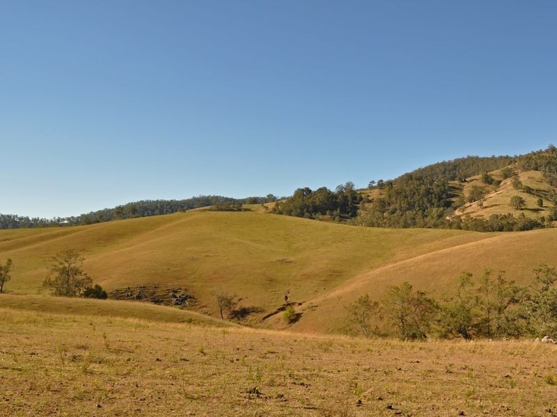 1579 Cells River Road, Cooplacurripa NSW 2424