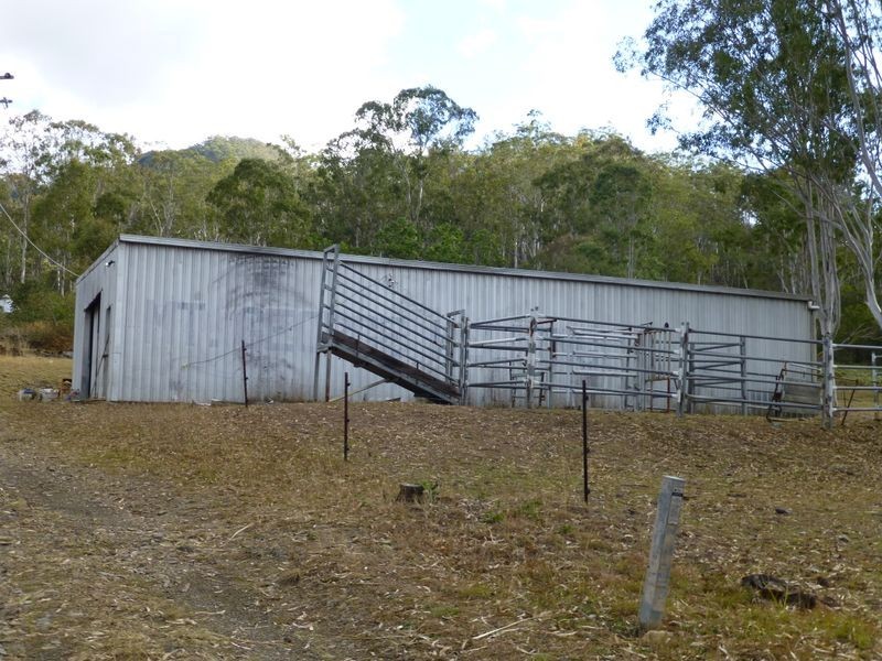 Wingham NSW 2429
