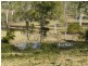 Wingham NSW 2429