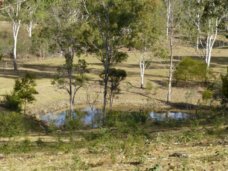 Wingham NSW 2429