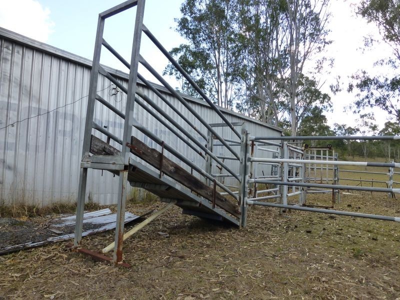 Wingham NSW 2429
