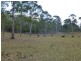 Wingham NSW 2429