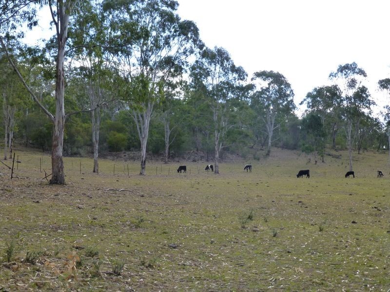 Wingham NSW 2429