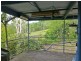 Wingham NSW 2429