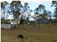 Wingham NSW 2429