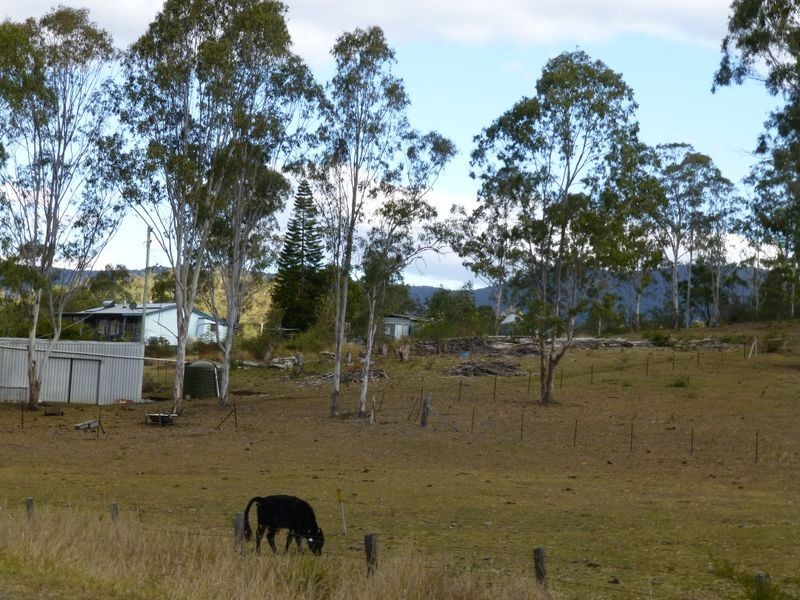 Wingham NSW 2429