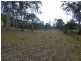Wingham NSW 2429