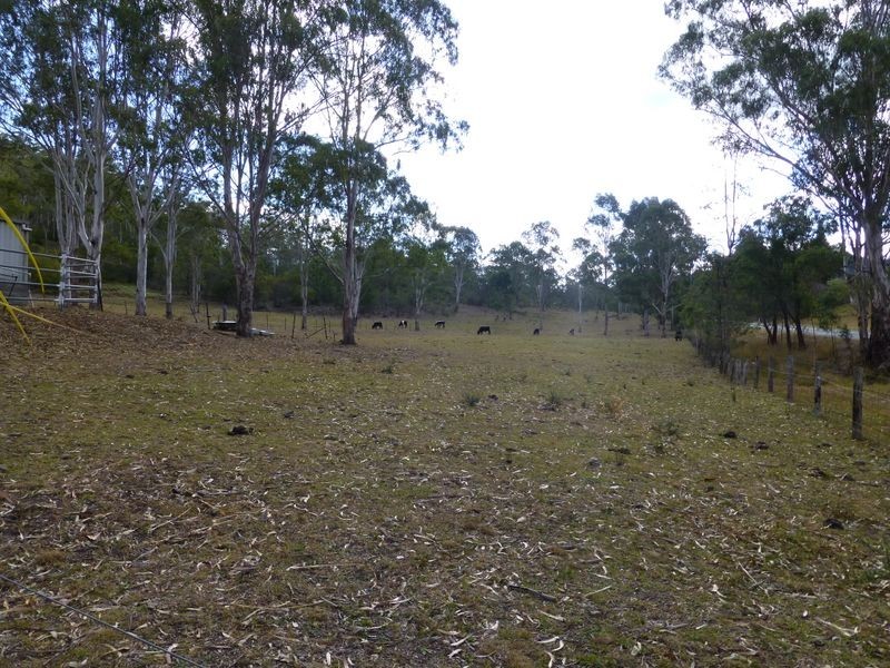 Wingham NSW 2429