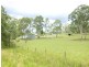 Wingham NSW 2429