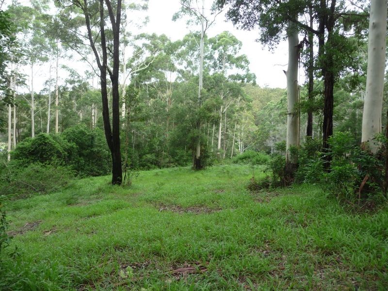 Moorland NSW 2443