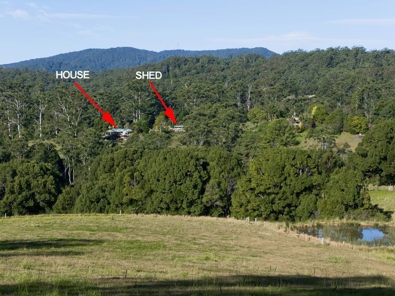 Lorne NSW 2439