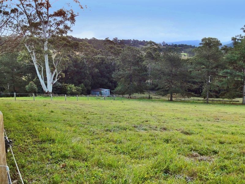 Lorne NSW 2439