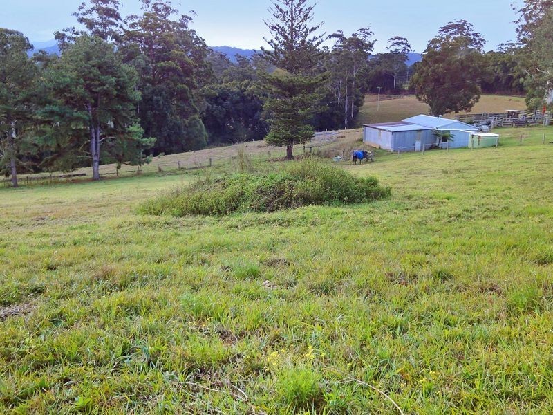 Lorne NSW 2439