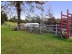 Lorne NSW 2439