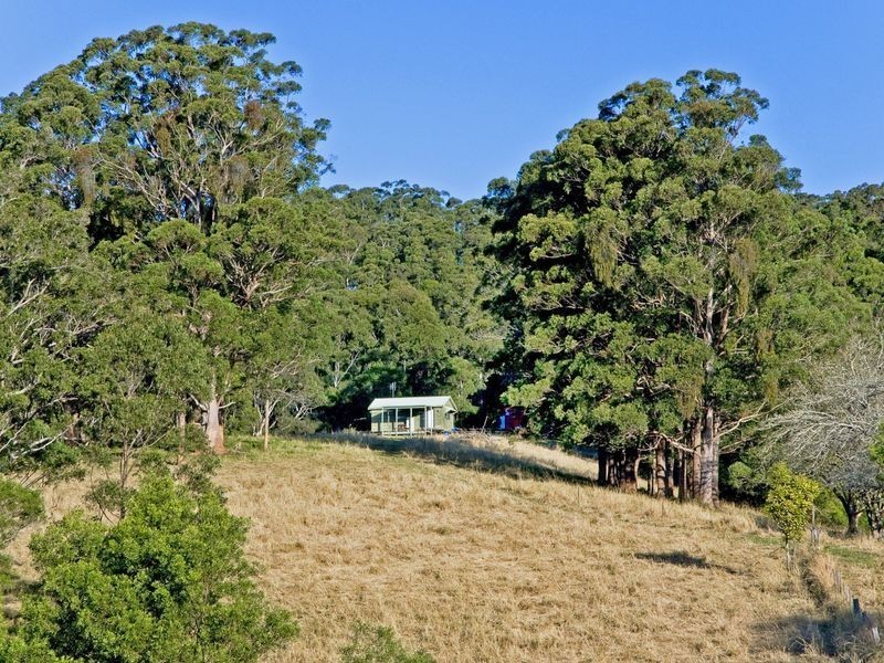 Lorne NSW 2439