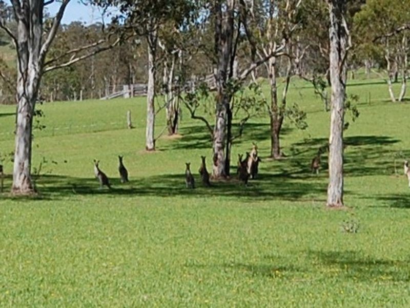 Dyers Crossing NSW 2429