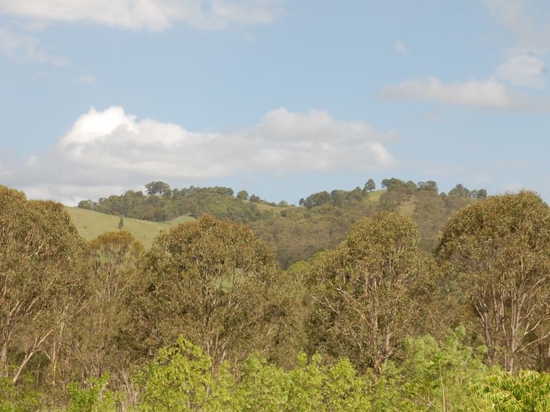 Dyers Crossing NSW 2429